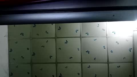 santichai561323 online show from February 19, 2:01 am