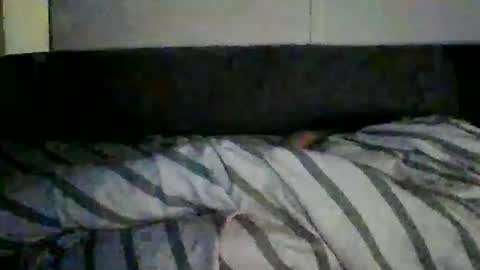 satyayuga online show from February 21, 10:00 pm