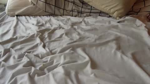 Stripper in Training online show from February 23, 8:10 pm