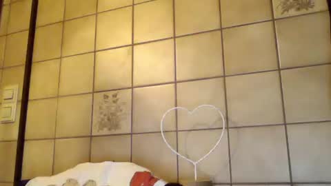 schnibschnab online show from October 26, 2:13 am