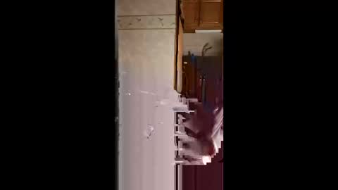 scottkuesterisme online show from January 17, 8:39 am