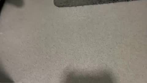 scottyc48 online show from November 14, 2:29 pm