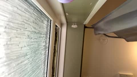 scottyc48 online show from March 24, 2:55 pm