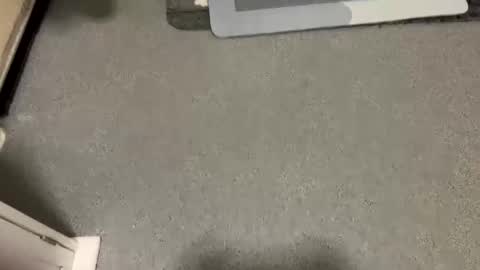 scottyc48 online show from November 23, 7:41 am