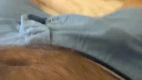 scottyla3107 online show from April 7, 3:17 am