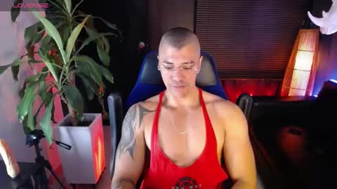 sed online show from December 14, 8:45 am