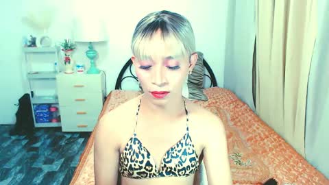 hot transfucker online show from May 22, 12:43 pm