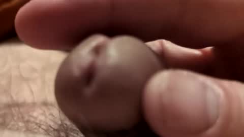 sexyfrank1972 online show from March 2, 4:18 am