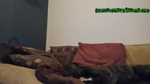 Sexymountainman420 online show from February 24, 4:38 am