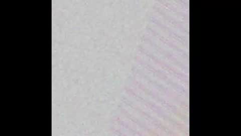 Possum online show from September 30, 7:46 am