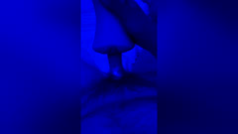sh591012 online show from July 30, 6:35 am