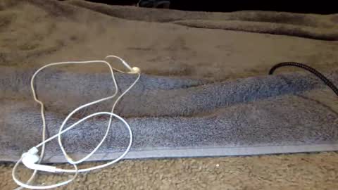 shazbot84 online show from February 6, 10:23 am