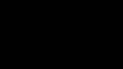 silllll online show from December 31, 3:12 am