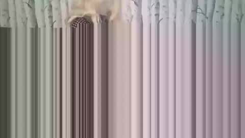 simontupin1973 online show from December 17, 1:35 am