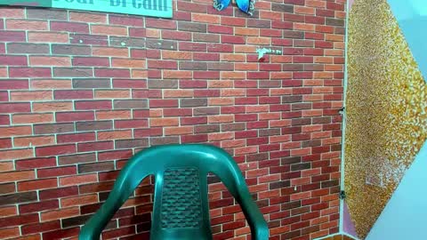 Snapshot of sirryant chatting on February 27, 12:34 pm SIR RYANT online show from February 27, 12:34 pm