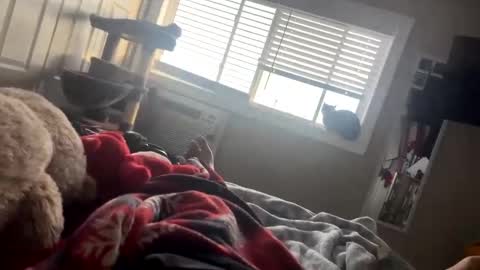 slickbadboy online show from February 26, 10:18 pm