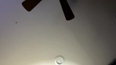 Slickdog online show from January 30, 6:03 am