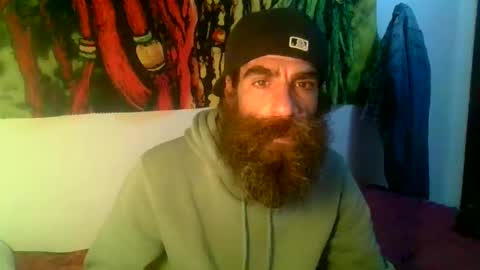 willy online show from February 23, 8:31 pm