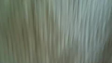 Silver Fox online show from February 16, 6:22 am