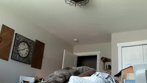 sportfish online show from April 4, 6:38 pm