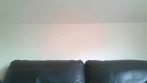 spritzer47 online show from January 21, 12:35 pm