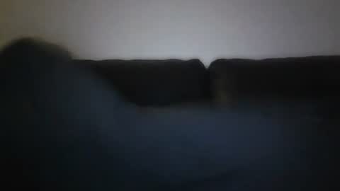 spritzer47 online show from January 19, 9:45 pm