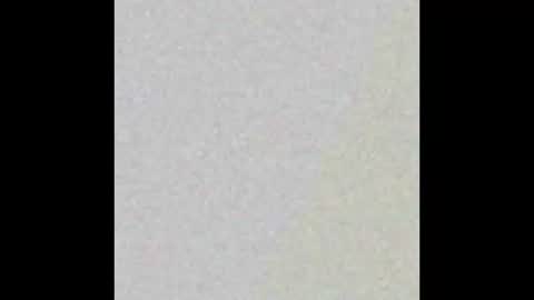 Snapshot of squegly chatting on February 16, 8:10 am Bryan online show from February 16, 8:10 am