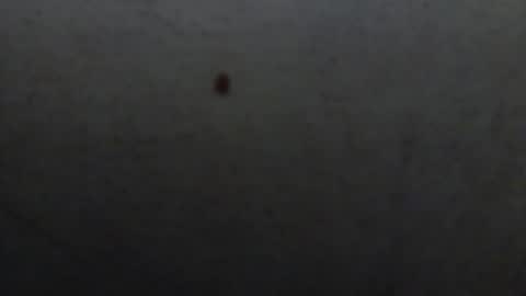 starguy600 online show from January 11, 7:45 am