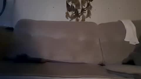 sterng123 online show from September 12, 5:18 am