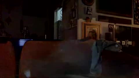 STEVE CASHMASTER 1comedia online show from December 25, 1:53 am