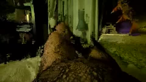 Snapshot of stockinggeek chatting on October 18, 6:40 am StockingGeek online show from October 18, 6:40 am