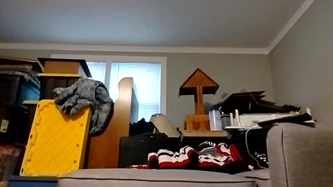 Streetwyze online show from October 25, 12:40 pm