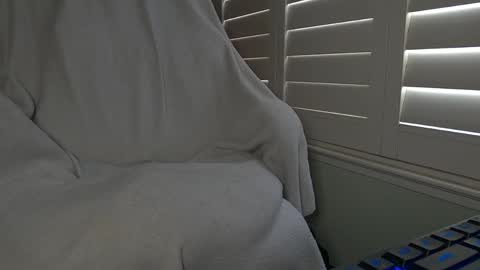 Dong Stroker online show from June 2, 6:09 pm