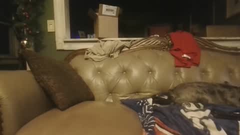 Snapshot of sub_michael41 chatting on December 21, 6:52 am sub_michael41 online show from December 21, 6:52 am