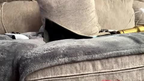 suckmywhitecock25 online show from January 14, 7:32 pm