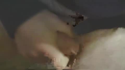 Snapshot of sweny4 chatting on February 11, 7:54 am sweny4 online show from February 11, 7:54 am