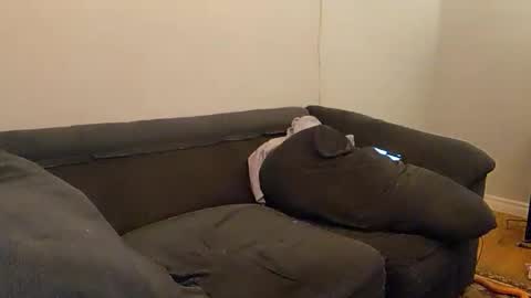 AsskAnthony online show from February 27, 8:37 am