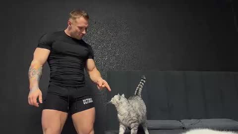 Andy Psy online show from November 8, 11:35 am