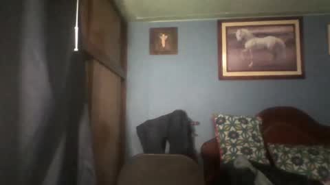 Fabio Canavaro online show from January 22, 2:37 am