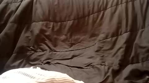 thatb1 online show from October 9, 10:36 pm