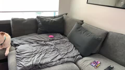 theboysclubfans online show from September 25, 1:10 pm