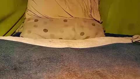 thehotstepperx online show from January 15, 2:15 am