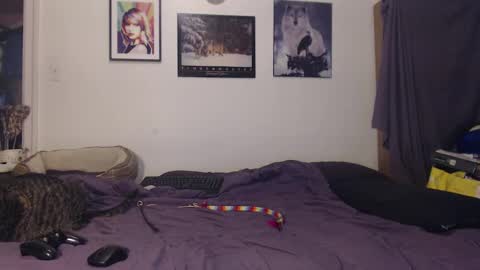 thetribalguy online show from December 22, 1:23 am