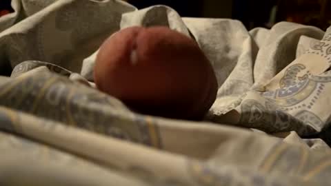 thisloadsforu online show from February 9, 7:16 am