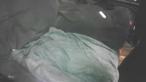 ticklemypickle67 online show from November 14, 5:32 am