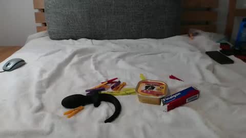 Luke online show from February 21, 7:33 am