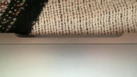 tjbear101 online show from January 11, 8:12 pm