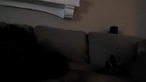 TLee online show from February 5, 10:51 am