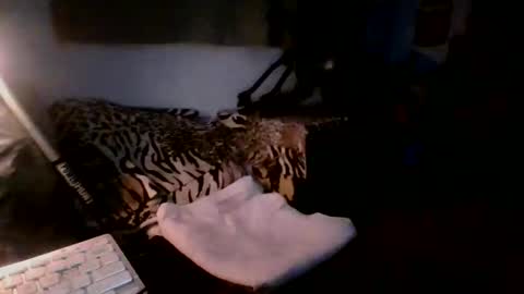toxicidad_sex online show from May 19, 7:36 am