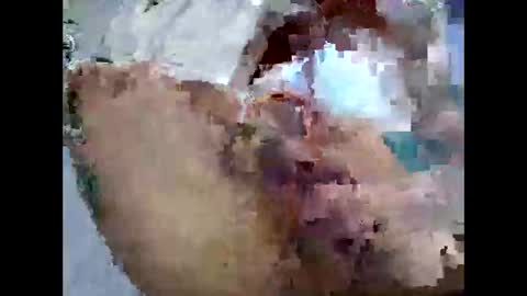 Jon online show from October 11, 12:03 am